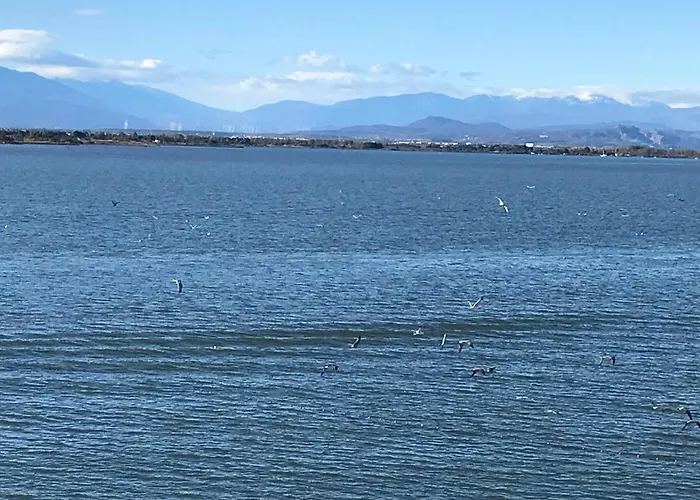 Ile Du Cap Couladere - Vue Magnifique Lac Marin - Baignoire Jaccuzi - Complexe Piscine, Sportif, Animations